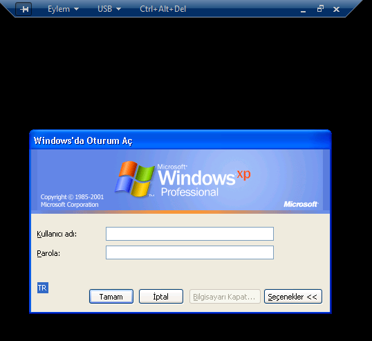 online virtual windows xp